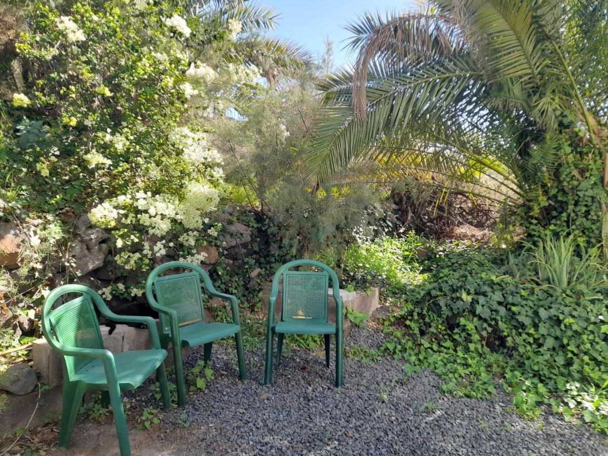 Ferienwohnung -The Garden - Las Palmas / Gran Canaria Exterior foto